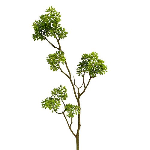 Floristik24 Decoratietak groen 80cm