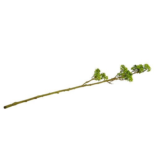 Floristik24 Decoratietak groen 80cm