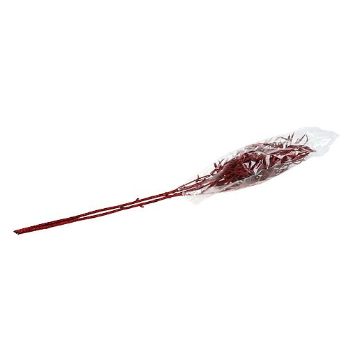 Floristik24 Decoratieve tak rood met mica 69cm 2 st