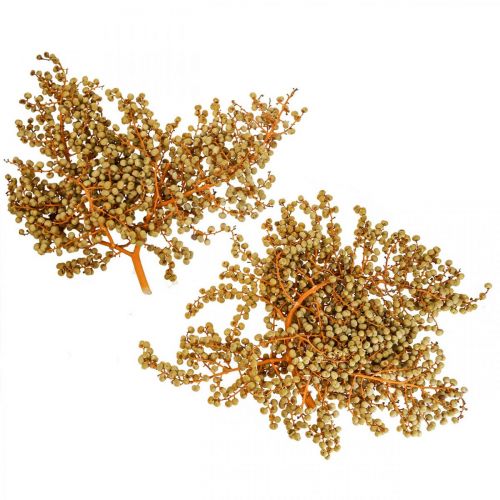 Floristik24 Decoratieve takken bessen gedroogde henneppalm palm Uva naturel 1kg