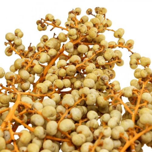 Floristik24 Decoratieve takken bessen gedroogde henneppalm palm Uva naturel 1kg