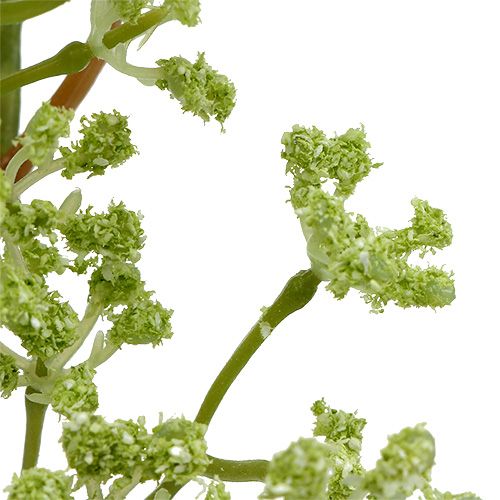Floristik24 Decoratieve tak groen L43cm 4st