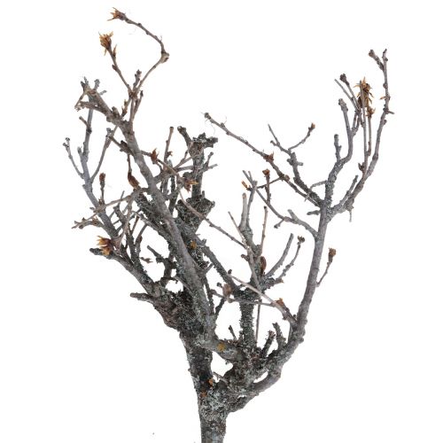 Artikel Deco takken bonsaihout deco takken 15-30cm 650g