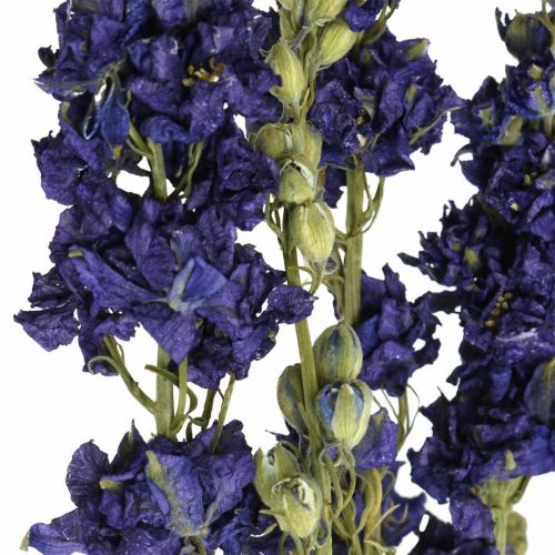 Artikel Gedroogd delphinium, droge bloemisterij, delphinium blauw L64cm 25g