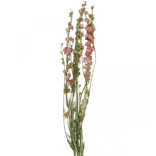 Artikel Gedroogde bloemendelphinium, Delphinium roze, droge bloemisterij L64cm 25g