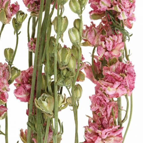 Artikel Gedroogde bloemendelphinium, Delphinium roze, droge bloemisterij L64cm 25g