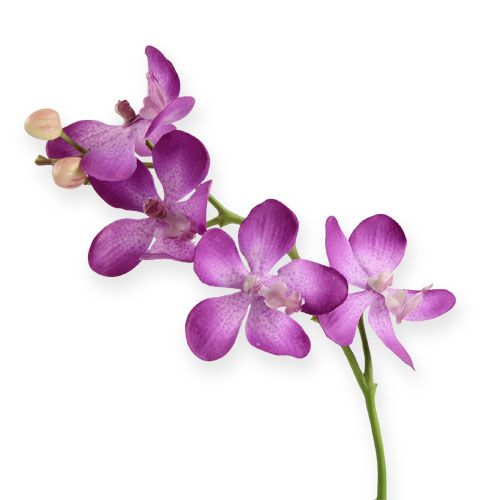 Orchidee lila 38cm