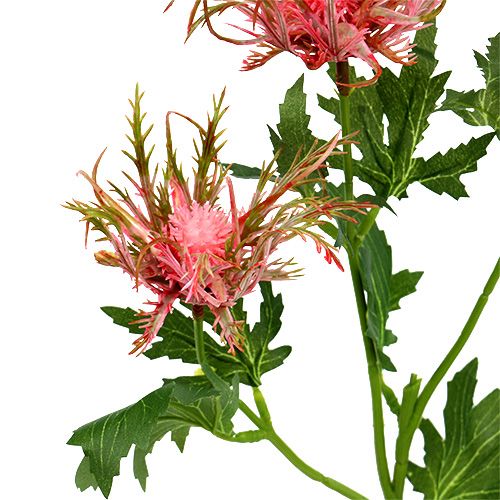 Floristik24 Disteltak roze, groen L67cm 4st