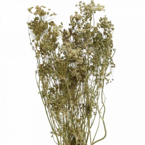 Artikel Droogbloemen dille natuurlijke droge bloemisterij 50cm 20 st