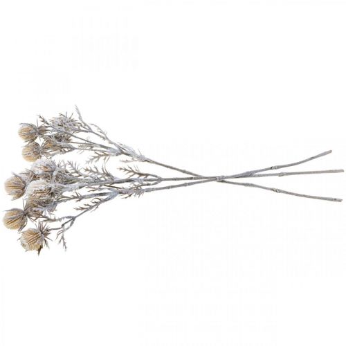 Floristik24 Disteltak kunstmatig bevroren decoratieve tak winter 55cm 3st