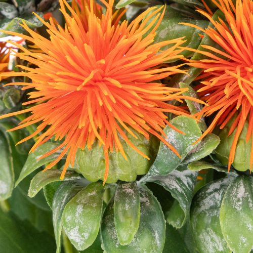 Kunstmatige oranje saffloer als kunstbloem voor vazen en decoratie, 55 cm, 4 stuks | Floristik24.nl