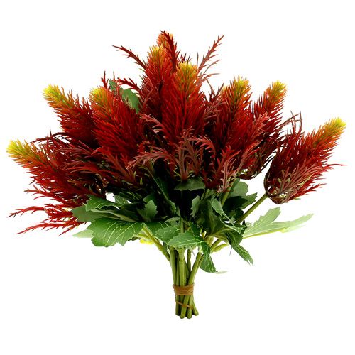 Floristik24 Distel rood-groen 20cm 12st