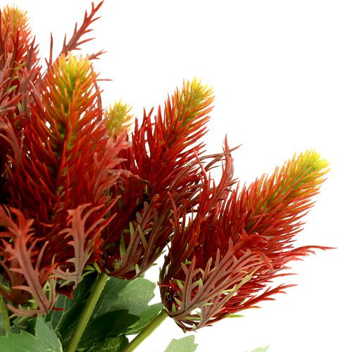 Floristik24 Distel rood-groen 20cm 12st
