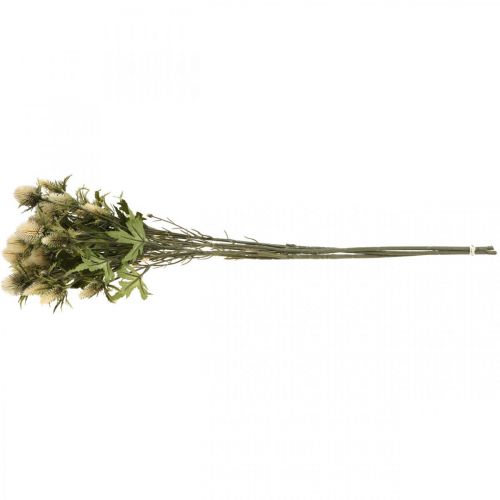 Artikel Distel kunsttak creme 10 bloemhoofdjes 68cm 3st