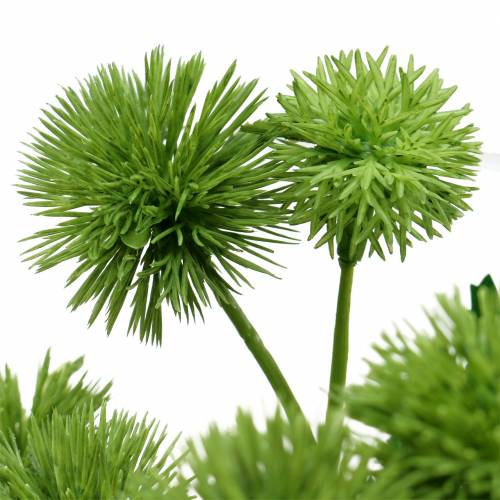 Floristik24 Thistle zijde bloem groen 56cm 3st