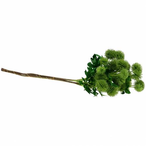 Floristik24 Thistle zijde bloem groen 56cm 3st