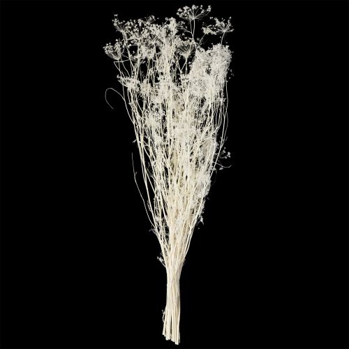 Artikel Umbellifera gedroogde bloemen wit 70-80cm 150g