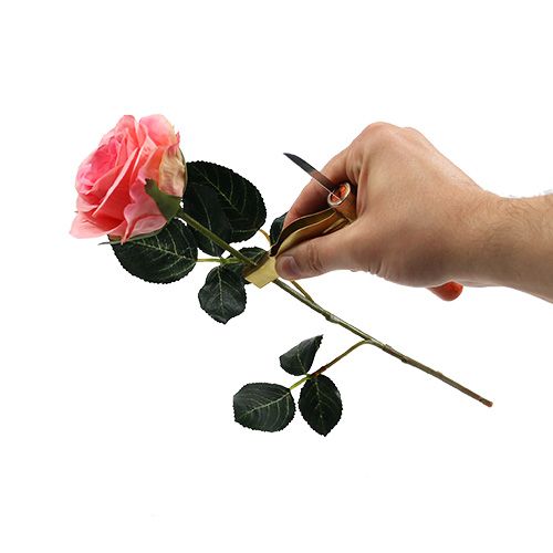Floristik24 Rozendoornverwijderaar met mes