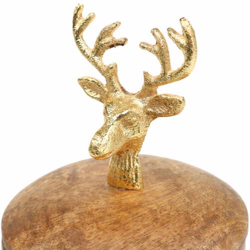 Floristik24 Doos van mangohout met gouden hertenkop Ø10cm H15cm