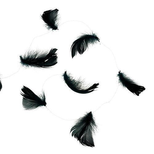 Floristik24 Draad met veer zwart 10m