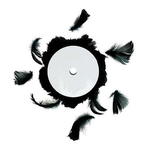 Floristik24 Draad met veer zwart 10m