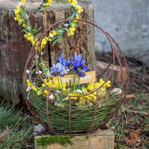 Artikel Draadmand Metalen Planter Lente Decoratie Paasmand Bruin Patina H34cm L30cm