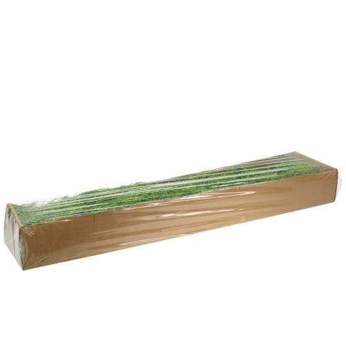 Floristik24 Junglemos lentegroen 250g