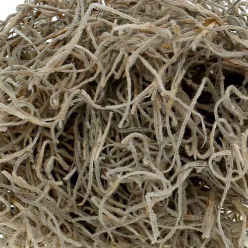 Floristik24 Jungle mos natuurlijk 250g