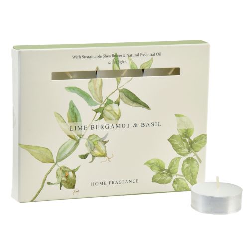 Floristik24 Geurkaarsen limoen bergamot basilicum Ø3,5cm 12 st