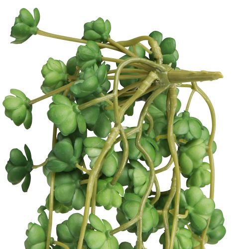 Artikel Echeveria kunsthangplanten in groen B12cm L50cm