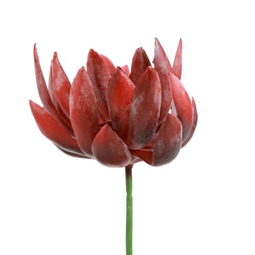 Succulent Echeveria Kunst Groene Planten Rood Ø12cm 19,5cm