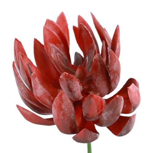 Succulent Echeveria Kunst Groene Planten Rood Ø12cm 19,5cm