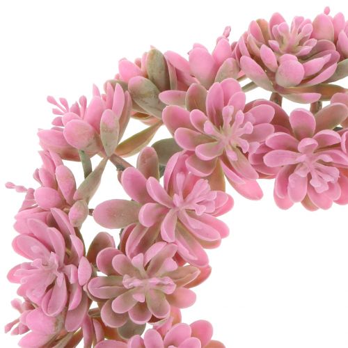 Floristik24 Echeveria krans roze Ø18cm 4st