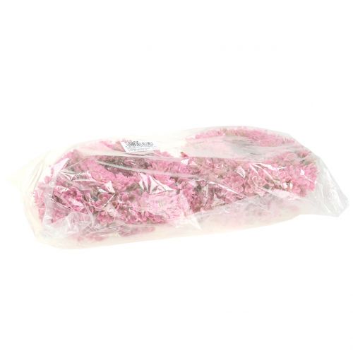 Floristik24 Echeveria krans roze Ø18cm 4st