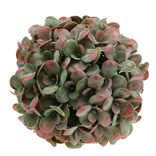 Floristik24 Echeveria-bal kunstmatig groen, rood Ø22cm