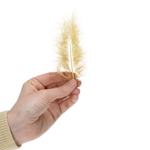 Artikel Echte veren voor knutselprojecten in lichtgeel, 5-10 cm, 20 g