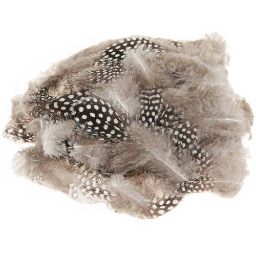 Floristik24 Echte parelhoenveren decoratieve veren naturel 4-12cm 100 stuks