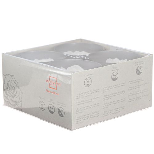 Artikel Echte rozenkoppen Infinity Rozen Wit Premium Ø8,5cm 4 stuks