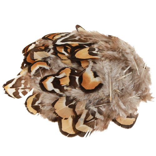 Artikel Echte vogelveren decoratieve veren gestreept 3-4cm 60 st