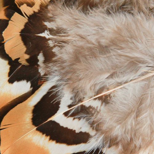 Artikel Echte vogelveren decoratieve veren gestreept 3-4cm 60 st