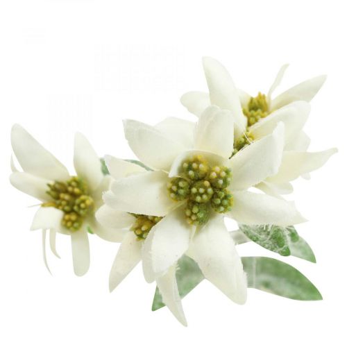 Floristik24 Edelweiss kunstbloem wit gevlokt 38cm