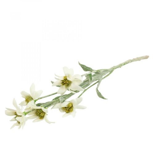 Floristik24 Edelweiss kunstbloem wit gevlokt 38cm