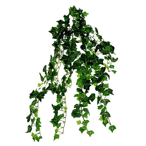 Floristik24 Klimoprank groen 70cm
