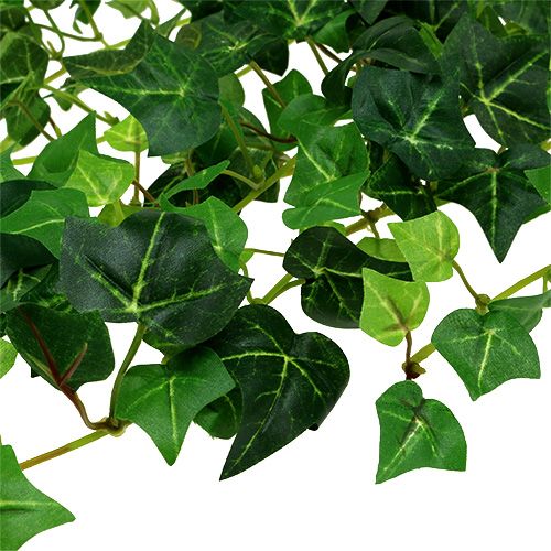 Floristik24 Klimoprank groen 70cm