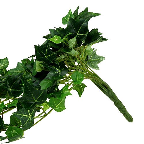 Floristik24 Klimoprank groen 70cm