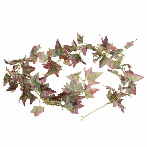 Floristik24 Klimopslinger Groen, Bordeaux 182.5cm