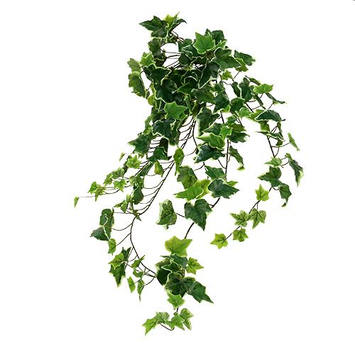 Klimophanger 80cm wit-groen