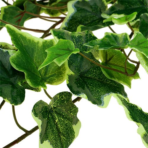 Floristik24 Klimophanger 80cm wit-groen