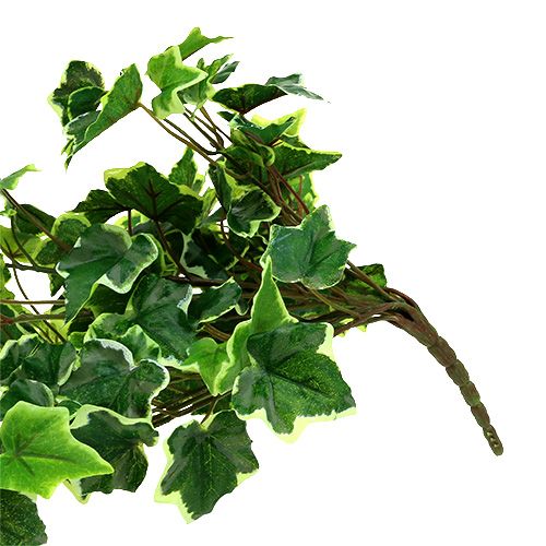 Floristik24 Klimophanger 80cm wit-groen