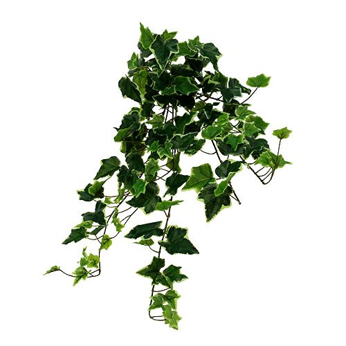 Klimophanger wit-groen 70cm